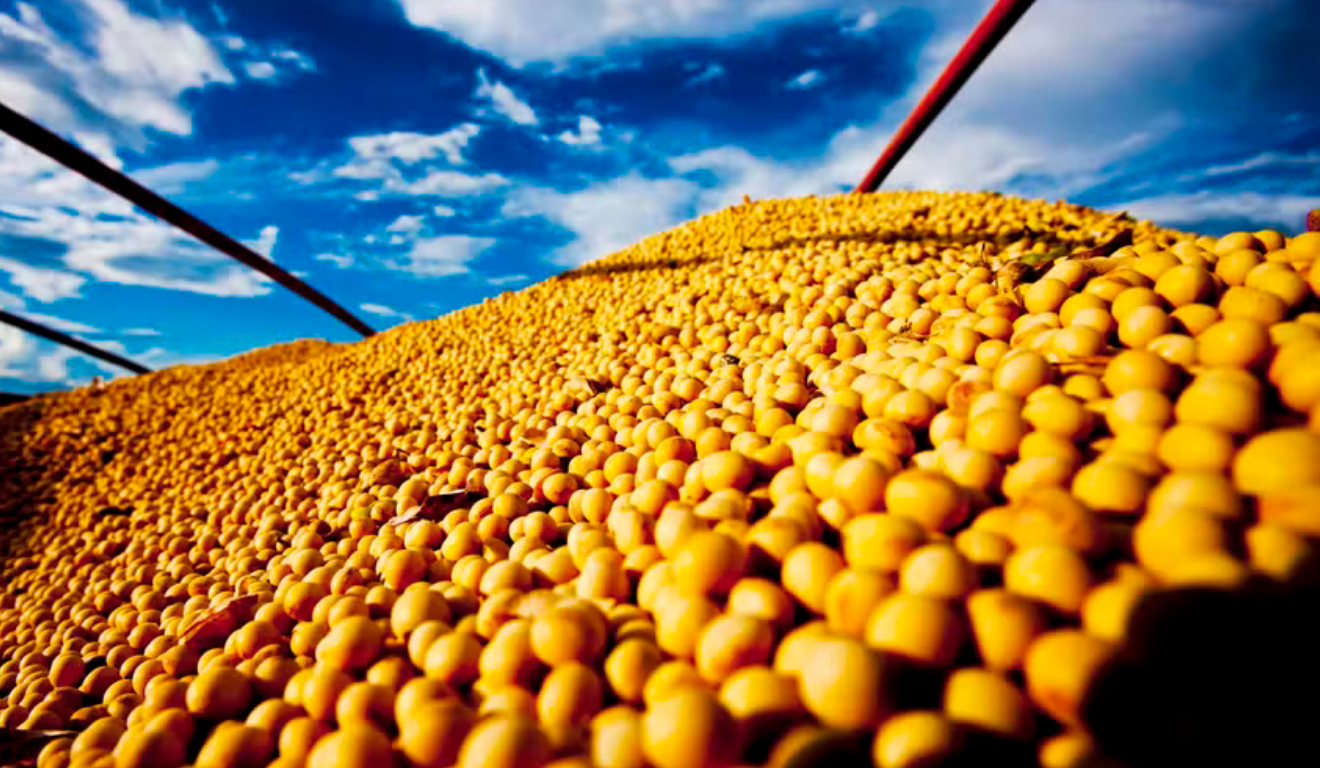 Começa o Desafio Nacional de Máxima Produtividade de Soja