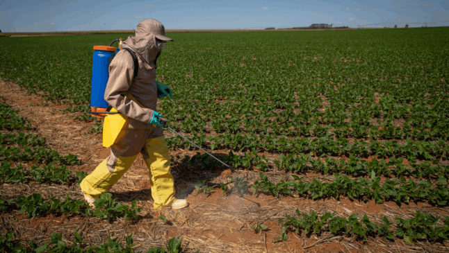 Foto: Wenderson Araujo/Trilux