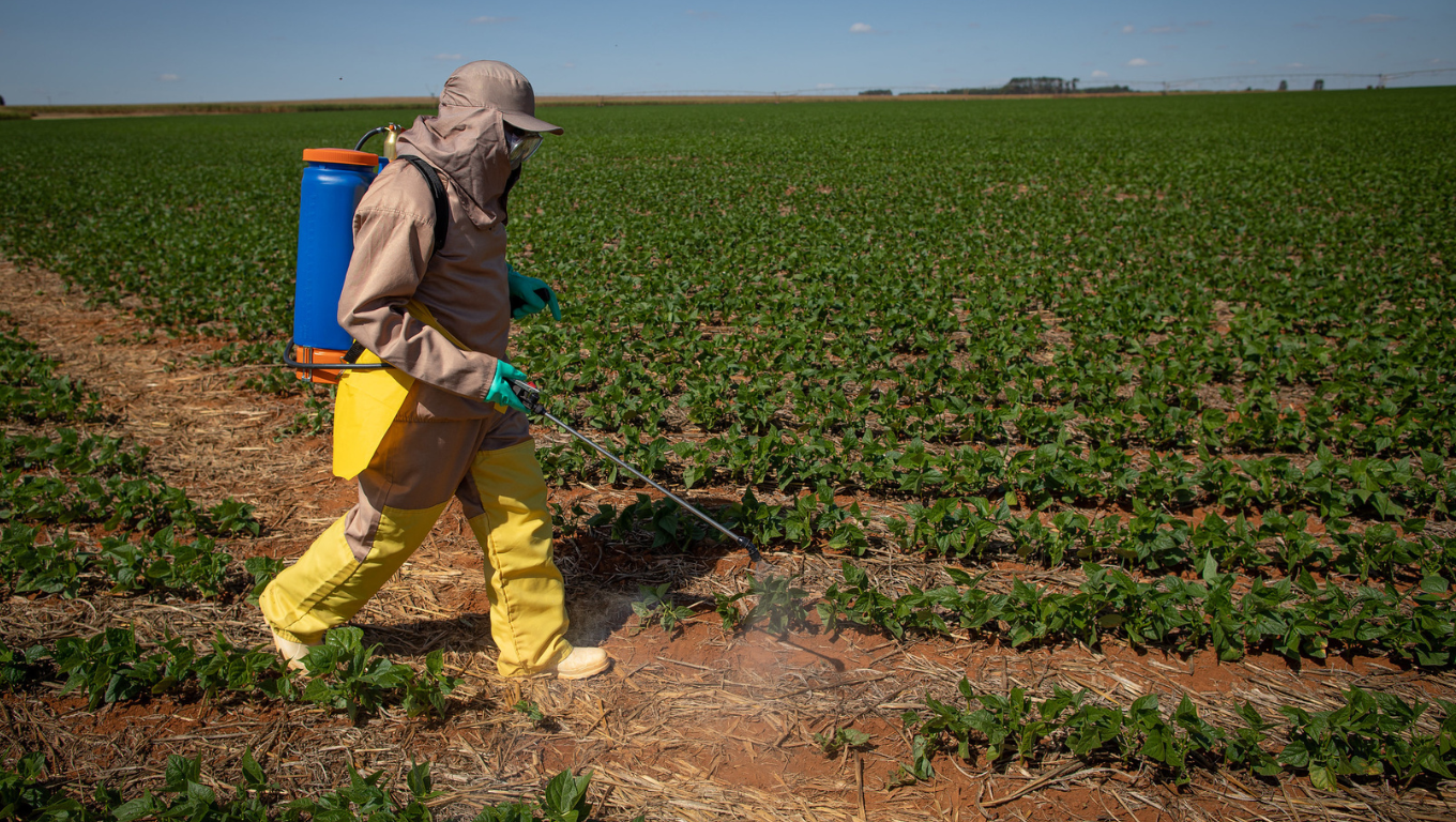 Foto: Wenderson Araujo/Trilux Foto: Wenderson Araujo/Trilux