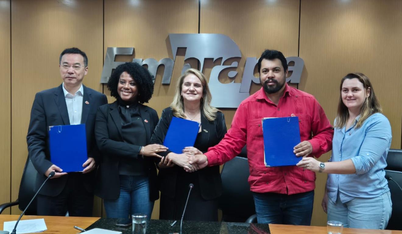 O projeto-piloto, por meio do Embrapa Semear Digital, será implantado em dois assentamentos localizados na região de Londrina (PR).