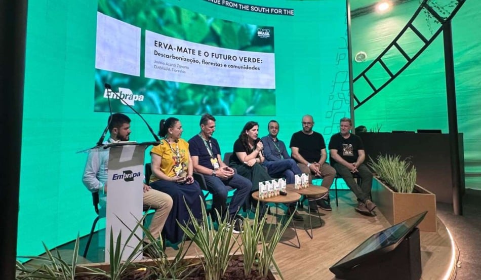 Segundo a Seapi, a cultura nativa do Sul do país mostra alto potencial produtivo e pode abrir novas oportunidades para agricultura sustentável, devido a sua capacidade de estocagem de carbono no solo de até 80t/ha