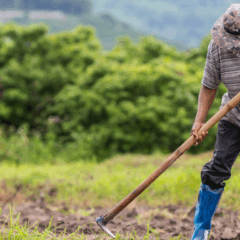 A Câmara dos Deputados aprovou, na quarta-feira (5), o Projeto de Lei (PL) que restringe critérios de desapropriação de terras para reforma agrária quando a propriedade não cumpre função social