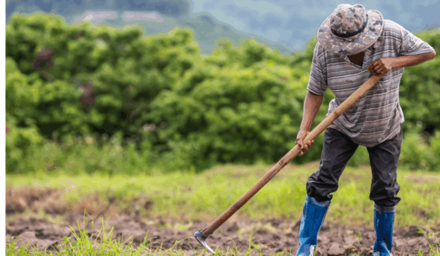 A Câmara dos Deputados aprovou, na quarta-feira (5), o Projeto de Lei (PL) que restringe critérios de desapropriação de terras para reforma agrária quando a propriedade não cumpre função social