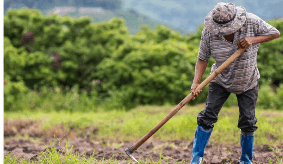 A Câmara dos Deputados aprovou, na quarta-feira (5), o Projeto de Lei (PL) que restringe critérios de desapropriação de terras para reforma agrária quando a propriedade não cumpre função social