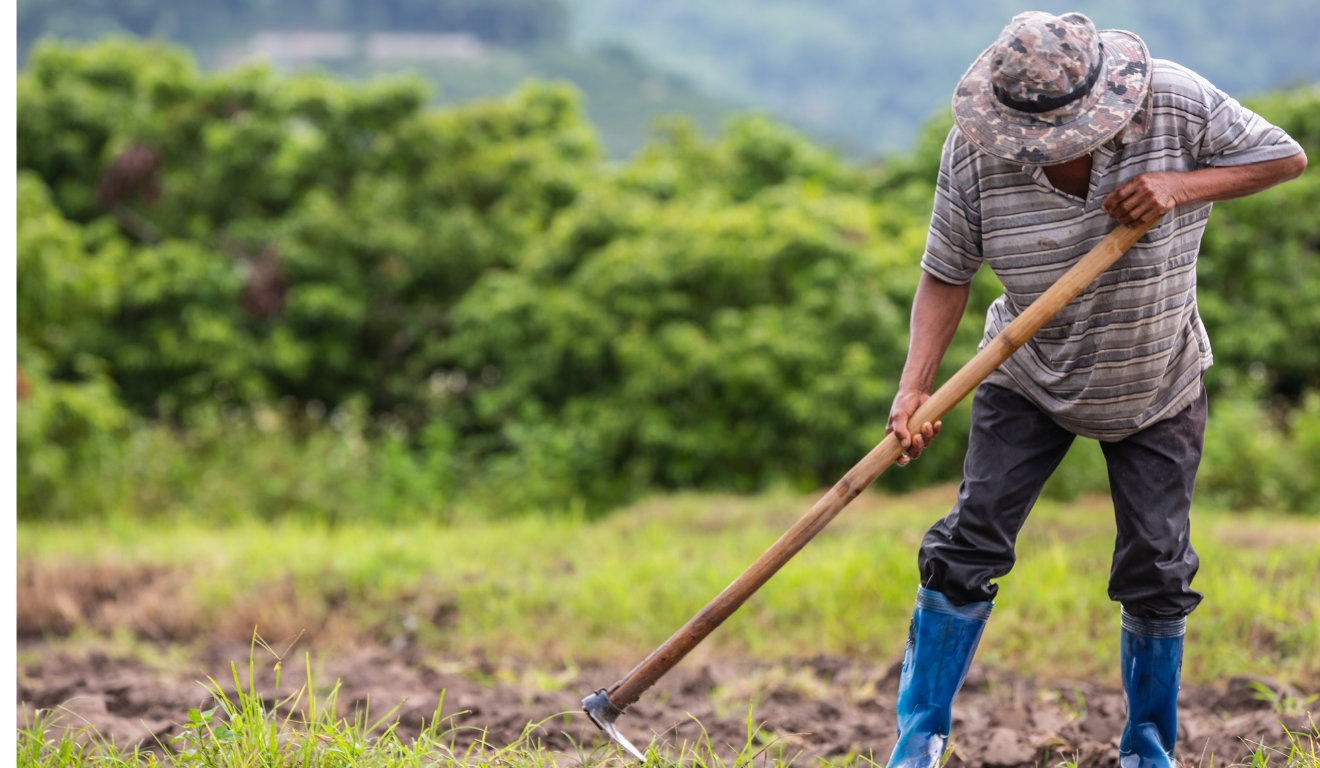 A Câmara dos Deputados aprovou, na quarta-feira (5), o Projeto de Lei (PL) que restringe critérios de desapropriação de terras para reforma agrária quando a propriedade não cumpre função social A Câmara dos Deputados aprovou, na quarta-feira (5), o Projeto de Lei (PL) que restringe critérios de desapropriação de terras para reforma agrária quando a propriedade não cumpre função social