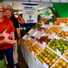 A 47ª edição da Festa da Laranja, realizada neste domingo (23) em Boquim (SE) após uma década de interrupção, marcou a retomada de um dos eventos mais tradicionais da citricultura no sul de Sergipe.