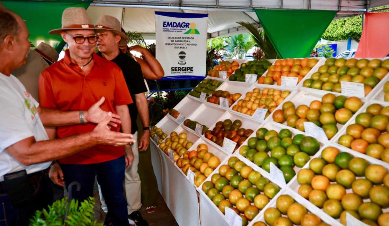 A 47ª edição da Festa da Laranja, realizada neste domingo (23) em Boquim (SE) após uma década de interrupção, marcou a retomada de um dos eventos mais tradicionais da citricultura no sul de Sergipe.
