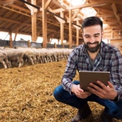 A digitalização chegou ao campo e produtores têm descoberto como ferramentas digitais podem transformar a gestão rural