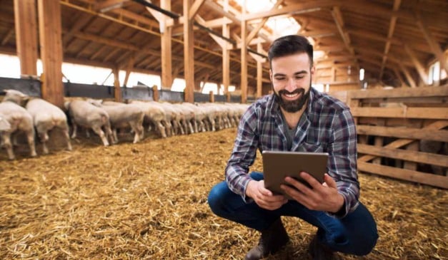 A digitalização chegou ao campo e produtores têm descoberto como ferramentas digitais podem transformar a gestão rural