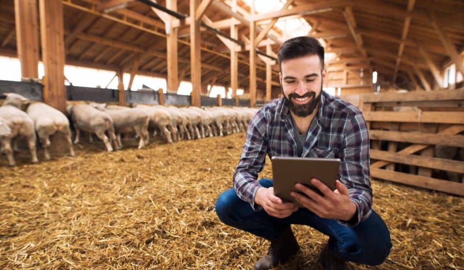 A digitalização chegou ao campo e produtores têm descoberto como ferramentas digitais podem transformar a gestão rural