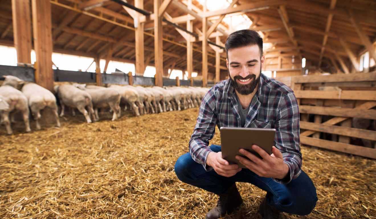 A digitalização chegou ao campo e produtores têm descoberto como ferramentas digitais podem transformar a gestão rural