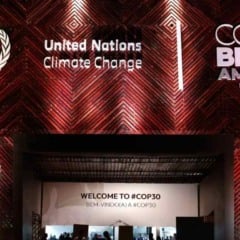 Durante a COP30, realizada em Belém (PA), o Brasil apresentou o guia “Gestão de Dejetos da Produção Animal para Mitigação do Metano: a contribuição do Brasil para a ação climática global”, publicação que reúne políticas, tecnologias e experiências nacionais destinadas a orientar outros países na redução das emissões de metano na pecuária