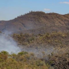 O período de seca de 2025 encerrou com 434.392 hectares queimados em unidades de conservação, o segundo menor volume da série histórica. Os dados, consolidados pelo Centro Especializado em Manejo Integrado do Fogo (Cemif), foram registrados em um ano com monitoramento ampliado, que alcançou 79 unidades, quase o dobro das 39 observadas em 2018, quando o menor índice havia sido contabilizado.