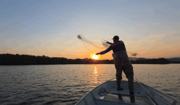 Com o objetivo de realizar um retrato da atividade pesqueira na região que reuniu dados socioeconômicos inéditos, o Instituto da Pesca de São Paulo produziu o e-book "Entre Marés".