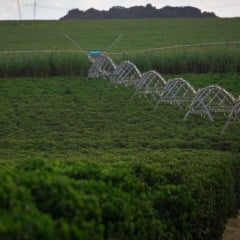 O novo boletim agroclimatológico do INMET, divulgado em outubro, mostra um Brasil dividido: enquanto o Sul pode enfrentar excesso de umidade, regiões do Centro-Oeste, Nordeste e Sudeste registram déficits hídricos acima de 100 mm. Mostrando a necessidade de irrigação inteligente em situações de crise.