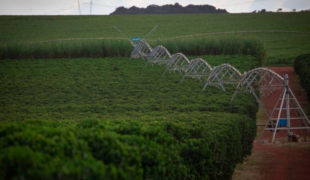 O novo boletim agroclimatológico do INMET, divulgado em outubro, mostra um Brasil dividido: enquanto o Sul pode enfrentar excesso de umidade, regiões do Centro-Oeste, Nordeste e Sudeste registram déficits hídricos acima de 100 mm. Mostrando a necessidade de irrigação inteligente em situações de crise.