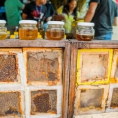 O Congresso Nacional começou a analisar a Medida Provisória (MP) 1325/25, que prevê crédito extraordinário de R$ 190 milhões no Orçamento de 2025 para a aquisição de alimentos