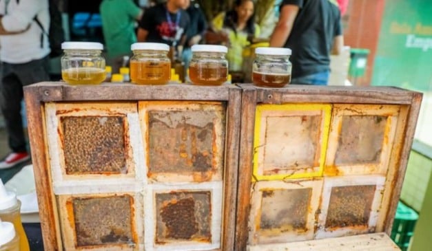 O Congresso Nacional começou a analisar a Medida Provisória (MP) 1325/25, que prevê crédito extraordinário de R$ 190 milhões no Orçamento de 2025 para a aquisição de alimentos