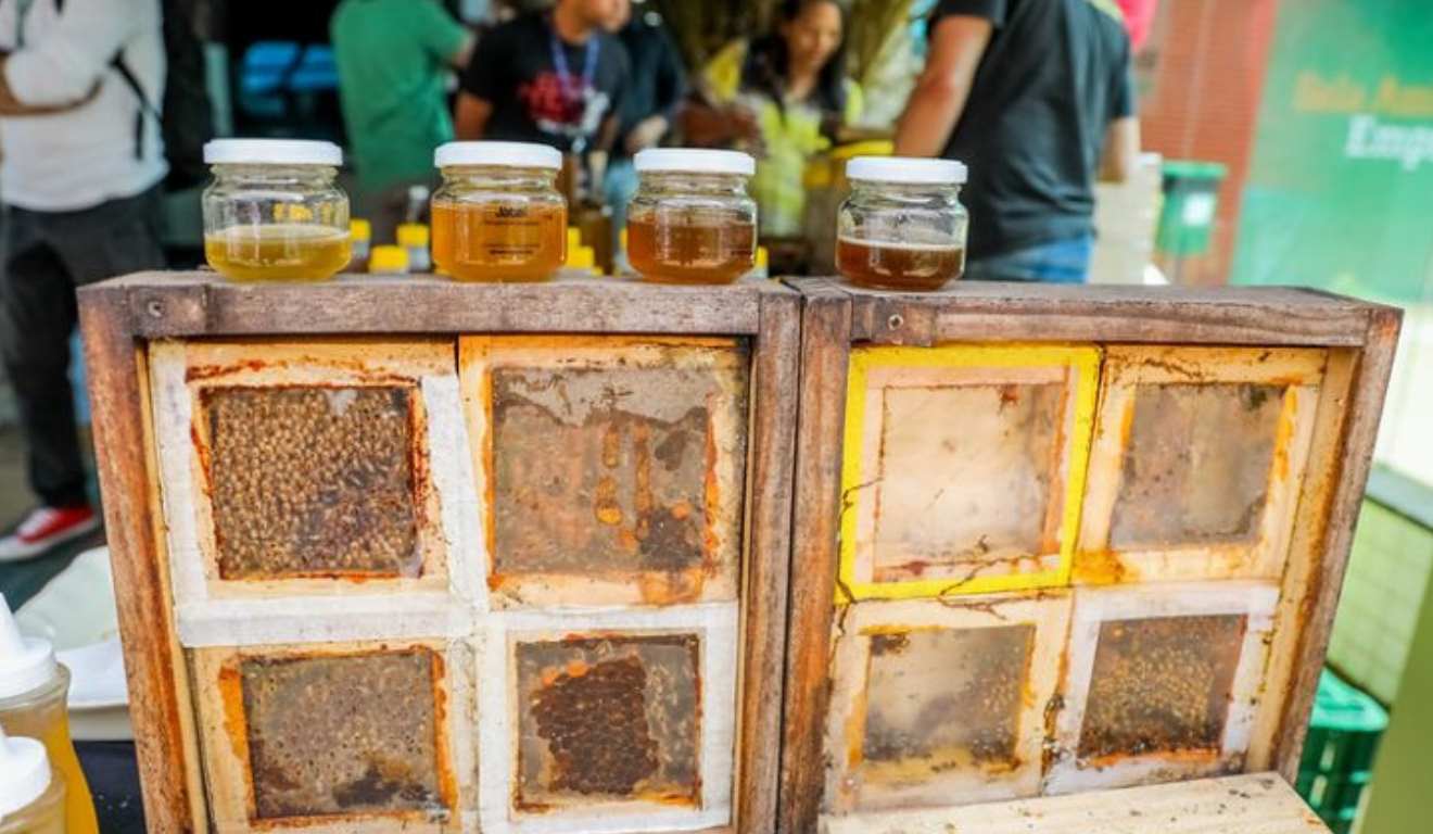 O Congresso Nacional começou a analisar a Medida Provisória (MP) 1325/25, que prevê crédito extraordinário de R$ 190 milhões no Orçamento de 2025 para a aquisição de alimentos