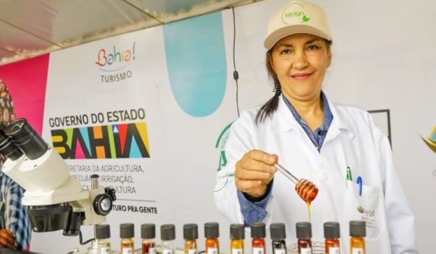 rodutores de mel da Bahia disputarão a melhor amostra do estado na Fenagro 2025, marcada para ocorrer de 29 de novembro a 7 de dezembro no Parque de Exposições de Salvador. O concurso de qualidade, organizado pela Secretaria da Agricultura, Pecuária, Irrigação, Pesca e Aquicultura (Seagri) em parceria com o Centro Tecnológico Agropecuário da Bahia (Cetab), consolida-se como referência na avaliação da produção apícola e meliponícola baiana.