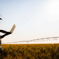 Iniciativa do governo do Paraná tem como objetivo garantir conectividade a pequenos, médios e grandes produtores rurais paranaenses