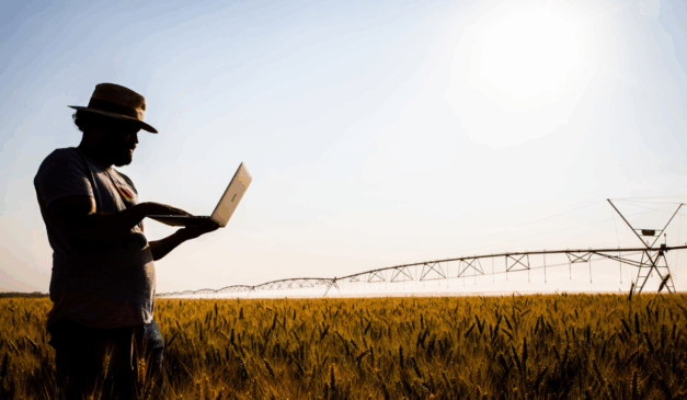 Iniciativa do governo do Paraná tem como objetivo garantir conectividade a pequenos, médios e grandes produtores rurais paranaenses