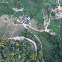 Proprietários de imóveis rurais de até quatro módulos têm até o dia 31 de dezembro para realizar a inscrição no Cadastro Ambiental Rural (CAR), que dá direito à adesão ao Programa de Regularização Ambiental (PRA)