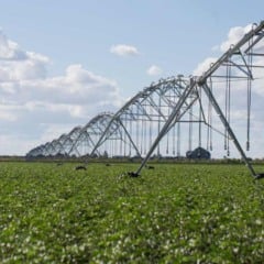O foco do Pronisaf é incentivar o uso racional da irrigação na agricultura e garantir que os produtores rurais tenham acesso a capacitação, assistência técnica e ferramentas modernizadas para gestão hídrica.