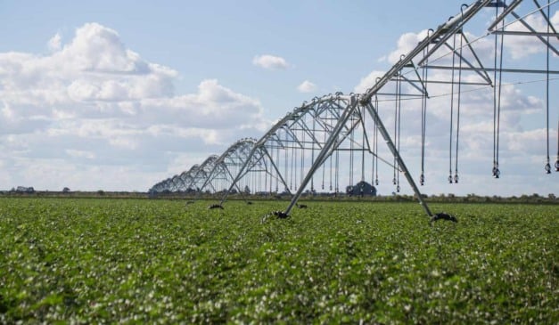 O foco do Pronisaf é incentivar o uso racional da irrigação na agricultura e garantir que os produtores rurais tenham acesso a capacitação, assistência técnica e ferramentas modernizadas para gestão hídrica.