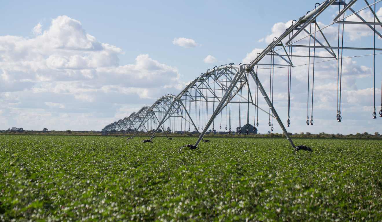 O foco do Pronisaf é incentivar o uso racional da irrigação na agricultura e garantir que os produtores rurais tenham acesso a capacitação, assistência técnica e ferramentas modernizadas para gestão hídrica.