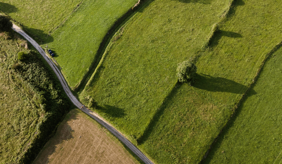 Aconteceu no último domingo (9), na Alemanha, a Agritechnica 2025, considerada a maior feira de maquinários agrícolas do mundo. Após o anúncio dos vencedores do prêmio Tractor of the Year 2026, foi apresentado o robô agrícola AgXeed 2.055 W3.