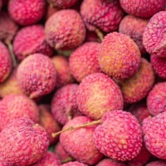 Entenda como é feito o cultivo de lichia no Brasil e saiba tudo sobre a fruta chinesa, desde os preparos até o mercado da cultura