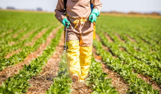 A Comissão de Agricultura, Pecuária, Abastecimento e Desenvolvimento Rural da Câmara dos Deputados aprovou na sexta-feira (28) o Projeto de Decreto Legislativo 312/25, que suspende os efeitos da Portaria 805/2025, responsável por instituir o Programa Nacional de Rastreabilidade de Agrotóxicos e Afins (PNRA), criado para monitorar todo o percurso dos defensivos no país