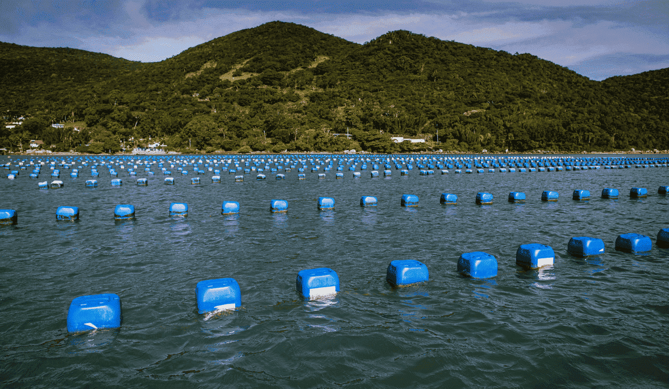 Campanha alerta sobre preservação de áreas de maricultura em Ubatuba Campanha alerta sobre preservação de áreas de maricultura em Ubatuba