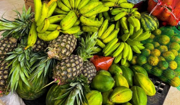 O governo do Acre abre novo edital do Programa de Aquisição de Alimentos (PAA), com foco em adquirir alimentos da agricultura familiar. A Chamada Pública Seagri nº 01/2025, publicada pela Secretaria de Estado de Agricultura do Acre (Seagri-AC), trata do credenciamento de entidades da rede socioassistencial que irão receber os alimentos adquiridos diretamente de agricultores familiares, para combater a insegurança alimentar no estado.