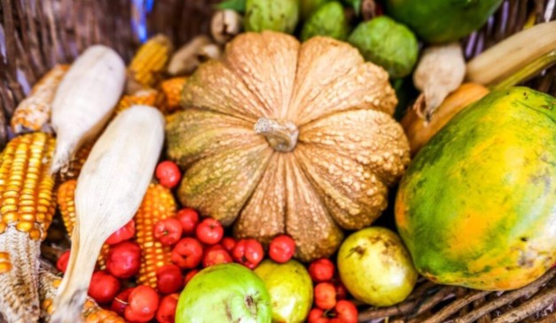 A Secretaria da Agricultura Familiar (SAF) do Piauí realiza nesta quarta-feira (17) a entrega de 20 toneladas de alimentos da agricultura familiar a entidades que atendem famílias em situação de vulnerabilidade social em Teresina.