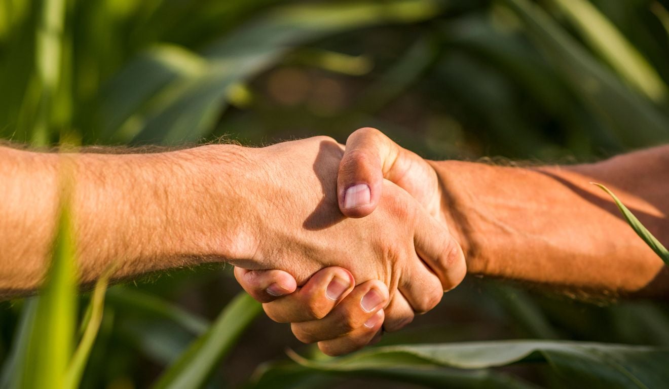 As exportações do agronegócio brasileiro somaram US$ 13,4 bilhões em novembro, alta de 6,2% na comparação com o mesmo mês de 2024 As exportações do agronegócio brasileiro somaram US$ 13,4 bilhões em novembro, alta de 6,2% na comparação com o mesmo mês de 2024