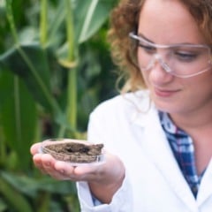 Sorriso, no Mato Grosso passa a contar com um novo laboratório voltado a análises genéticas do solo para auxiliar produtores