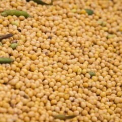 A Associa&ccedil;&atilde;o dos Produtores de Soja e Milho de Mato Grosso (Aprosoja MT) realiza, no dia 28 de janeiro, a Visita T&eacute;cnica ao Centro Tecnol&oacute;gico do Araguaia (CTECNO Araguaia), localizado no munic&iacute;pio de Nova Nazar&eacute; (MT). O evento tem in&iacute;cio &agrave;s 7h e j&aacute; est&aacute; com inscri&ccedil;&otilde;es abertas, reunindo produtores rurais e t&eacute;cnicos interessados em inova&ccedil;&atilde;o, manejo e aumento da produtividade da soja