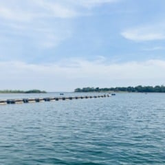 O Centro de Excelência e Inovação em Aquicultura da ADM, localizado em Aparecida do Taboado, no Mato Grosso do Sul, completou 15 anos como um dos principais polos de pesquisa aplicada para aquicultura na América Latina