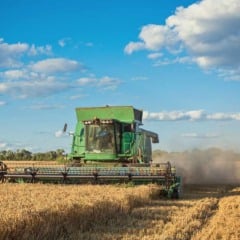 As vendas de máquinas agrícolas no atacado, que vinham mostrando recuperação ao longo de 2025, ganharam um novo retrato em outubro. Segundo a Federação Nacional da Distribuição de Veículos Automotores (Fenabrave)