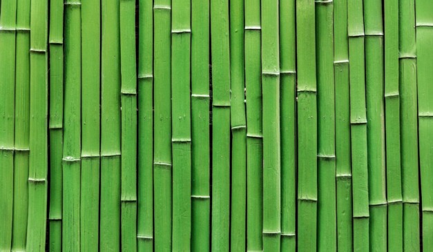 A Comissão de Agricultura da Câmara dos Deputados discutiu a regulamentação da lei de Incentivo ao cultivo do bambu no Brasil