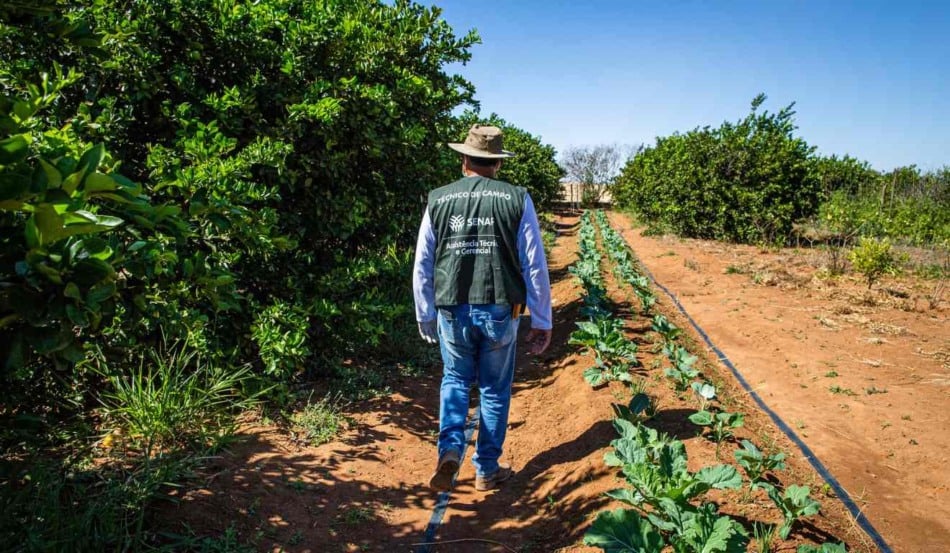 A Comissão de Constituição e Justiça e de Cidadania (CCJ) da Câmara dos Deputados aprovou o Projeto de Lei 121/2022, que prevê a inclusão de produtos da agricultura familiar nas cestas básicas distribuídas à população em situação de vulnerabilidade social em todo o país. A medida é vista como um avanço tanto no combate à insegurança alimentar quanto no fortalecimento da renda dos pequenos produtores rurais.