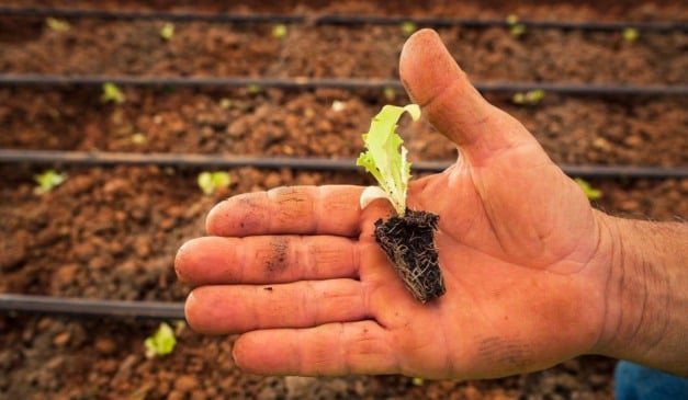 A Comissão de Saúde da Câmara dos Deputados aprovou o Projeto de Lei 3188/24, que cria a nova Política Nacional de Monitoramento e Remediação de Solos Pós-Enchentes. A iniciativa busca garantir segurança alimentar, proteger a saúde pública e orientar o produtor rural na recuperação de áreas atingidas por desastres climáticos, através da análise de solos pós-enchentes.