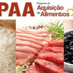 A Companhia Nacional de Abastecimento (Conab) deu início a uma operação de Compra Institucional (CI), para o Programa de Aquisição de Alimentos (PAA), no valor de R$ 46 milhões, destinada a ampliar a participação da agricultura familiar no abastecimento público e reforçar os estoques estratégicos usados em ações de segurança alimentar e nutricional.