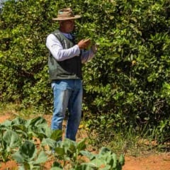 O Ministério do Desenvolvimento Agrário e Agricultura Familiar (MDA), a Embrapa e a Agência Nacional de Assistência Técnica e Extensão Rural (Anater), com apoio da Fundação Banco do Brasil, lançaram o 1º Concurso Nacional de Inventos para Agricultura Familiar.