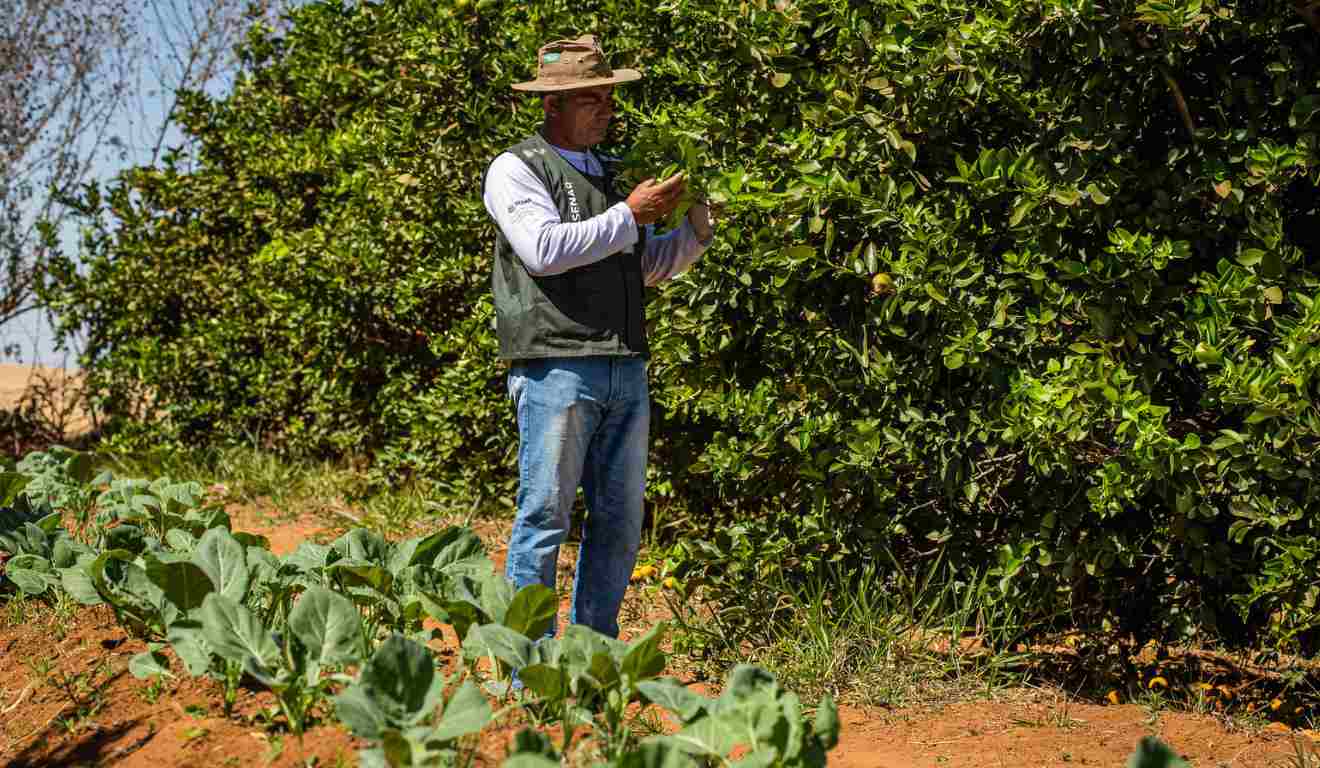 O Ministério do Desenvolvimento Agrário e Agricultura Familiar (MDA), a Embrapa e a Agência Nacional de Assistência Técnica e Extensão Rural (Anater), com apoio da Fundação Banco do Brasil, lançaram o 1º Concurso Nacional de Inventos para Agricultura Familiar. O Ministério do Desenvolvimento Agrário e Agricultura Familiar (MDA), a Embrapa e a Agência Nacional de Assistência Técnica e Extensão Rural (Anater), com apoio da Fundação Banco do Brasil, lançaram o 1º Concurso Nacional de Inventos para Agricultura Familiar.