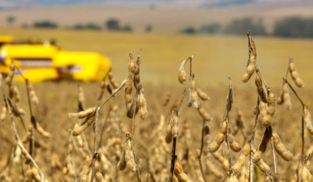Os custos de produção seguem como o principal fator que orienta o desempenho das cadeias agropecuárias do Paraná, aponta o Boletim Conjuntural do Departamento de Economia Rural (Deral), divulgado nesta quinta-feira (4)