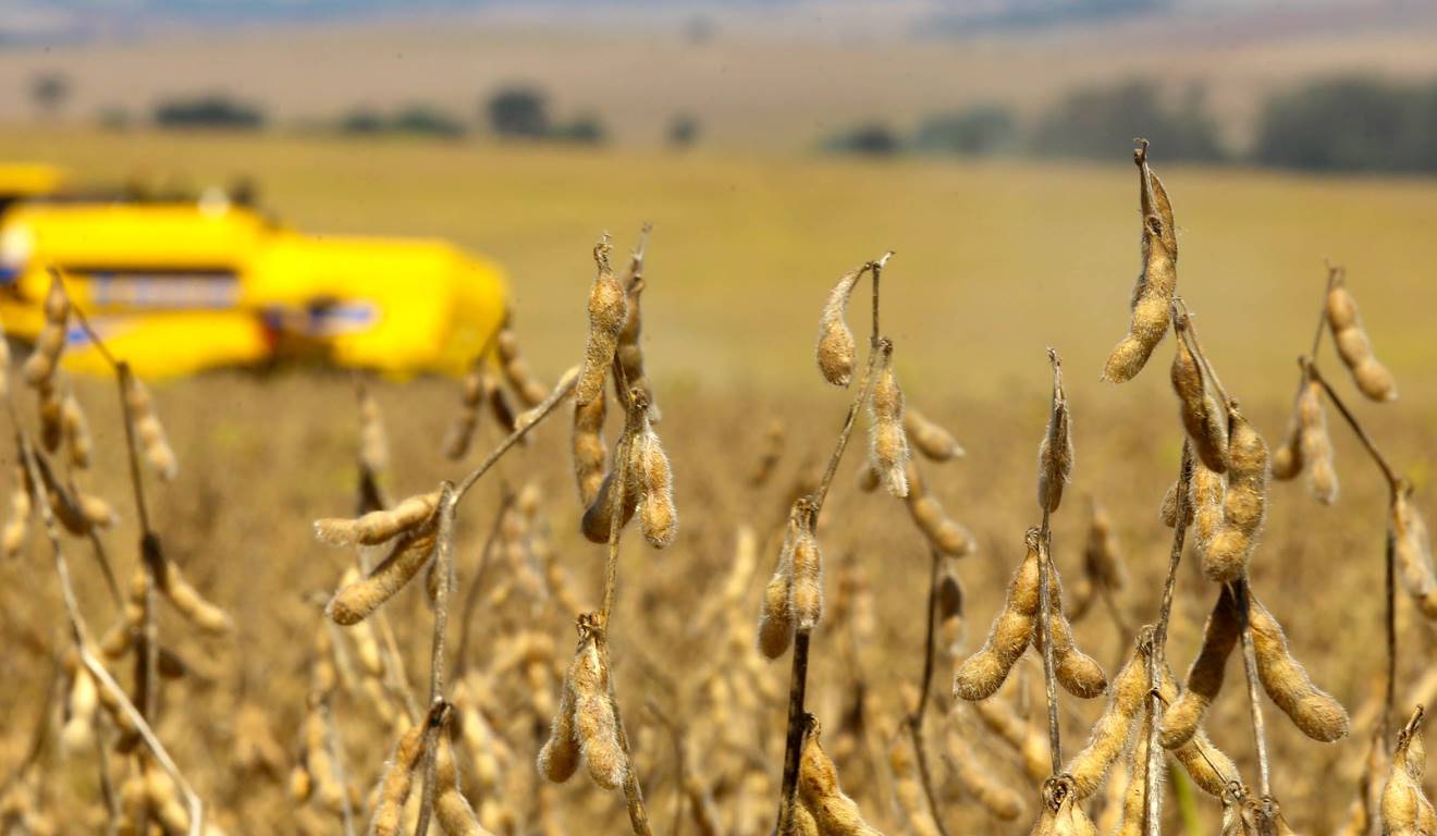 Os custos de produção seguem como o principal fator que orienta o desempenho das cadeias agropecuárias do Paraná, aponta o Boletim Conjuntural do Departamento de Economia Rural (Deral), divulgado nesta quinta-feira (4)
