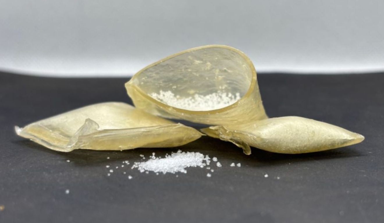 Uma pesquisa da Embrapa, em parceria com a UFSCar, desenvolveu sachês biodegradáveis capazes de substituir polímeros de fertilizantes Uma pesquisa da Embrapa, em parceria com a UFSCar, desenvolveu sachês biodegradáveis capazes de substituir polímeros de fertilizantes